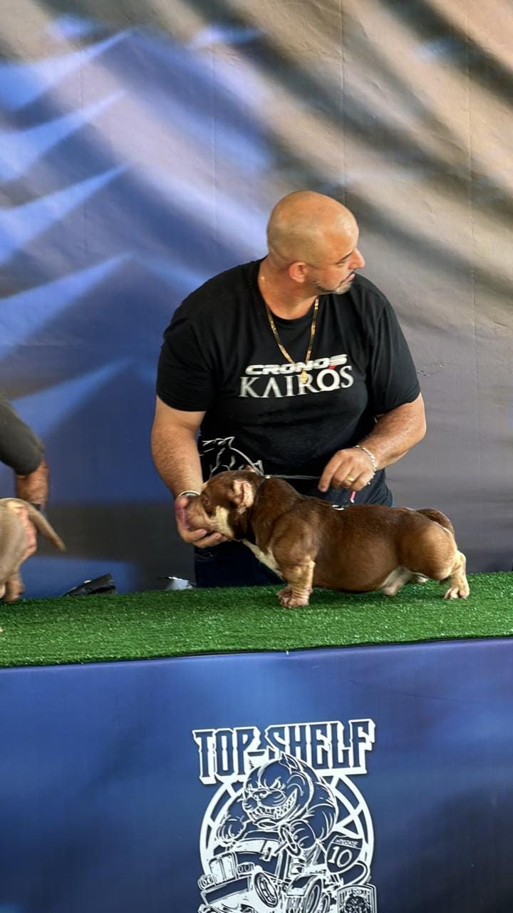 Fabio Kairos apresentando um cão no ringue